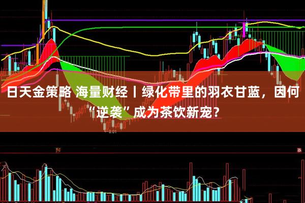 日天金策略 海量财经丨绿化带里的羽衣甘蓝，因何“逆袭”成为茶饮新宠？