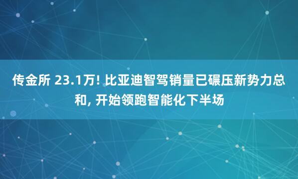 传金所 23.1万! 比亚迪智驾销量已碾压新势力总和, 开始领跑智能化下半场