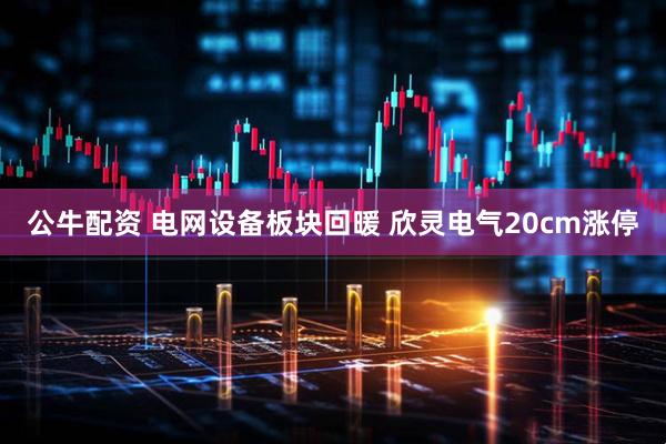 公牛配资 电网设备板块回暖 欣灵电气20cm涨停