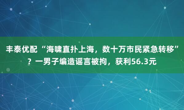 丰泰优配 “海啸直扑上海，数十万市民紧急转移”？一男子编造谣言被拘，获利56.3元