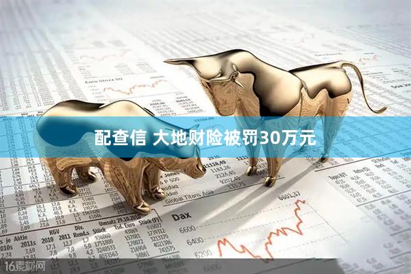 配查信 大地财险被罚30万元