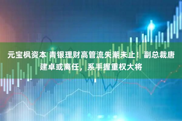 元宝枫资本 青银理财高管流失潮未止！副总裁唐建卓或离任，系手握重权大将