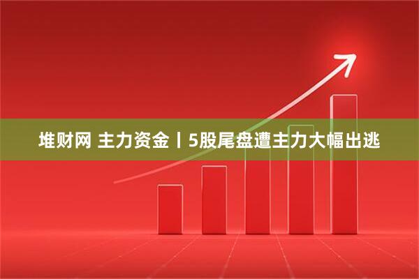 堆财网 主力资金丨5股尾盘遭主力大幅出逃